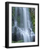 USA, Oregon. Willamette National Forest, Three Sisters Wilderness, Lower Proxy Falls and lush moss.-John Barger-Framed Photographic Print