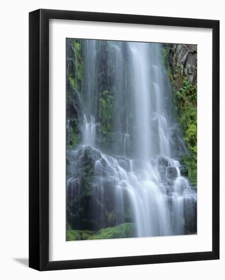 USA, Oregon. Willamette National Forest, Three Sisters Wilderness, Lower Proxy Falls and lush moss.-John Barger-Framed Photographic Print