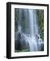 USA, Oregon. Willamette National Forest, Three Sisters Wilderness, Lower Proxy Falls and lush moss.-John Barger-Framed Photographic Print