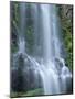 USA, Oregon. Willamette National Forest, Three Sisters Wilderness, Lower Proxy Falls and lush moss.-John Barger-Mounted Photographic Print