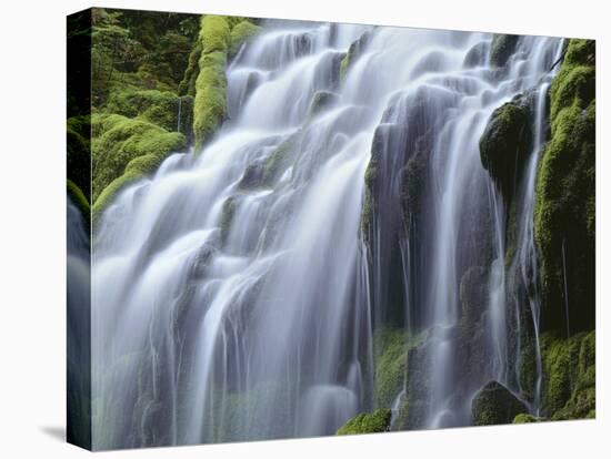 USA, Oregon, Willamette National Forest, Three Sisters Wilderness, Upper Proxy Falls-John Barger-Stretched Canvas