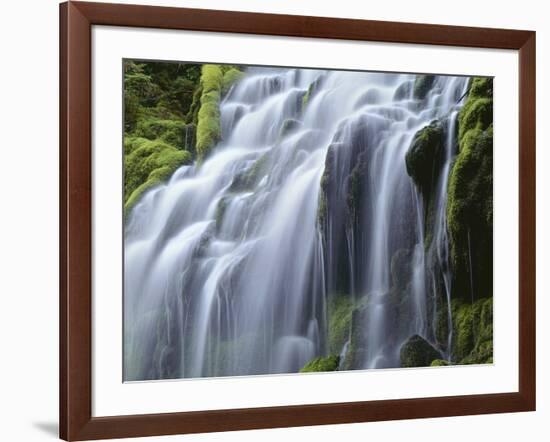 USA, Oregon, Willamette National Forest, Three Sisters Wilderness, Upper Proxy Falls-John Barger-Framed Photographic Print