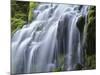 USA, Oregon, Willamette National Forest, Three Sisters Wilderness, Upper Proxy Falls-John Barger-Mounted Photographic Print