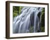 USA, Oregon, Willamette National Forest, Three Sisters Wilderness, Upper Proxy Falls-John Barger-Framed Photographic Print