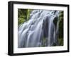 USA, Oregon, Willamette National Forest, Three Sisters Wilderness, Upper Proxy Falls-John Barger-Framed Photographic Print