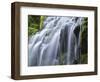 USA, Oregon, Willamette National Forest, Three Sisters Wilderness, Upper Proxy Falls-John Barger-Framed Photographic Print