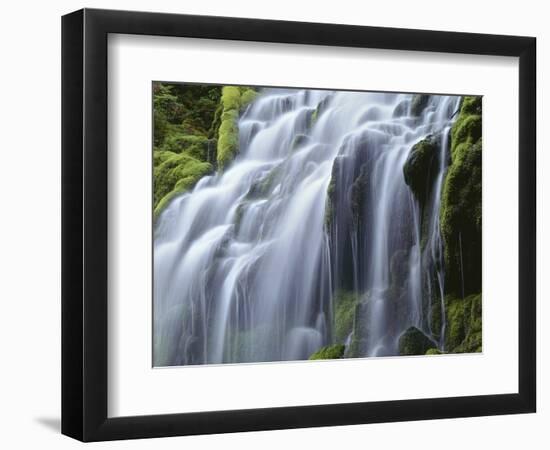 USA, Oregon, Willamette National Forest, Three Sisters Wilderness, Upper Proxy Falls-John Barger-Framed Photographic Print