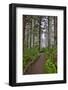 Usa, Oregon, Yachats. Cape Perpetua-Hollice Looney-Framed Photographic Print