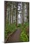 Usa, Oregon, Yachats. Cape Perpetua-Hollice Looney-Mounted Photographic Print