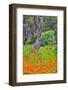 Usa, Oregon, Yachats. Plantings-Hollice Looney-Framed Photographic Print