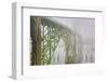 USA, Oregon. Yaquina Bay Bridge in Fog-Jean Carter-Framed Photographic Print