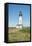USA, Oregon. Yaquina Head Natural Area, Yaquina Head Lighthouse.-Rob Tilley-Framed Stretched Canvas