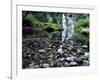 USA, Oregon, Young's River Falls. Waterfall Landscape-Steve Terrill-Framed Photographic Print