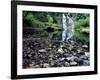 USA, Oregon, Young's River Falls. Waterfall Landscape-Steve Terrill-Framed Photographic Print