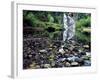 USA, Oregon, Young's River Falls. Waterfall Landscape-Steve Terrill-Framed Photographic Print