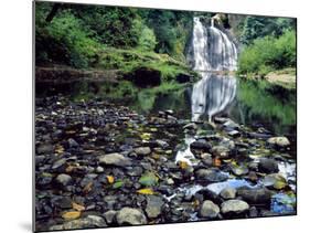 USA, Oregon, Young's River Falls. Waterfall Landscape-Steve Terrill-Mounted Photographic Print