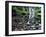 USA, Oregon, Young's River Falls. Waterfall Landscape-Steve Terrill-Framed Photographic Print