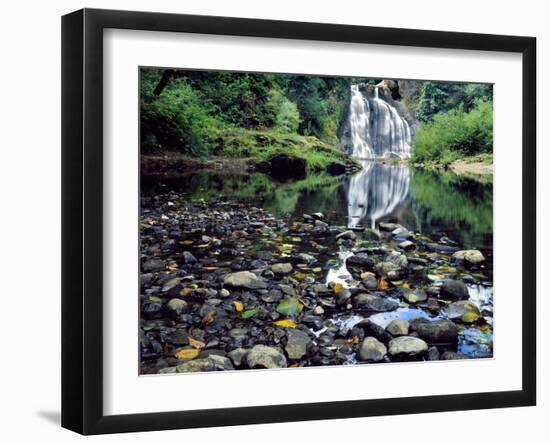 USA, Oregon, Young's River Falls. Waterfall Landscape-Steve Terrill-Framed Photographic Print