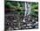 USA, Oregon, Young's River Falls. Waterfall Landscape-Steve Terrill-Mounted Photographic Print