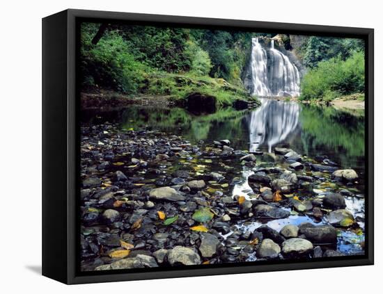 USA, Oregon, Young's River Falls. Waterfall Landscape-Steve Terrill-Framed Stretched Canvas