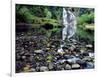 USA, Oregon, Young's River Falls. Waterfall Landscape-Steve Terrill-Framed Photographic Print