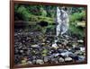 USA, Oregon, Young's River Falls. Waterfall Landscape-Steve Terrill-Framed Photographic Print