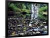 USA, Oregon, Young's River Falls. Waterfall Landscape-Steve Terrill-Framed Photographic Print