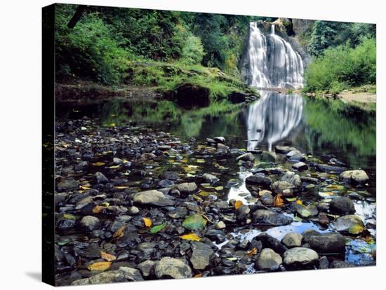 USA, Oregon, Young's River Falls. Waterfall Landscape-Steve Terrill-Stretched Canvas