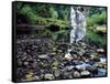 USA, Oregon, Young's River Falls. Waterfall Landscape-Steve Terrill-Framed Stretched Canvas