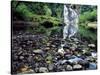 USA, Oregon, Young's River Falls. Waterfall Landscape-Steve Terrill-Stretched Canvas