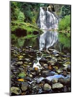 USA, Oregon, Young's River Falls. Waterfall Landscape-Steve Terrill-Mounted Photographic Print