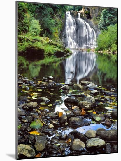 USA, Oregon, Young's River Falls. Waterfall Landscape-Steve Terrill-Mounted Photographic Print