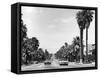 USA, Palm Springs-null-Framed Stretched Canvas