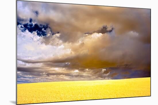 USA, Palouse abstract-George Theodore-Mounted Photographic Print