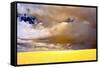 USA, Palouse abstract-George Theodore-Framed Stretched Canvas