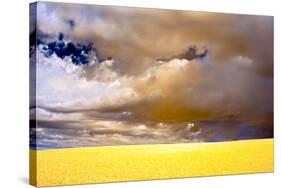 USA, Palouse abstract-George Theodore-Stretched Canvas