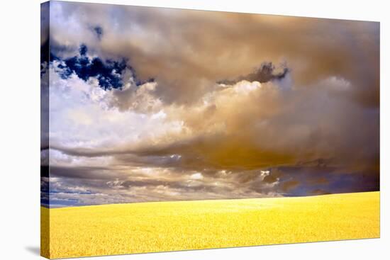 USA, Palouse abstract-George Theodore-Stretched Canvas