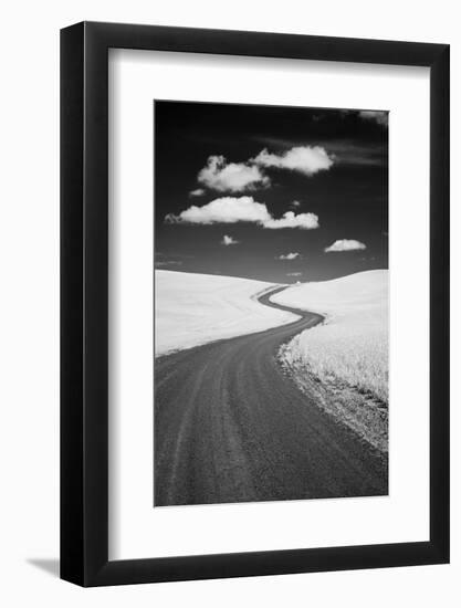 USA, Palouse Country, Washington State, Infrared Palouse fields and backroad-Terry Eggers-Framed Photographic Print