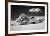 USA, Palouse Country, Washington State, Infrared Palouse fields and barn-Terry Eggers-Framed Photographic Print