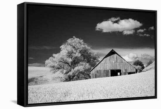 USA, Palouse Country, Washington State, Infrared Palouse fields and barn-Terry Eggers-Framed Stretched Canvas