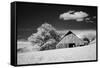 USA, Palouse Country, Washington State, Infrared Palouse fields and barn-Terry Eggers-Framed Stretched Canvas