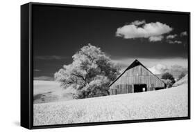 USA, Palouse Country, Washington State, Infrared Palouse fields and barn-Terry Eggers-Framed Stretched Canvas
