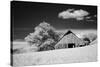 USA, Palouse Country, Washington State, Infrared Palouse fields and barn-Terry Eggers-Stretched Canvas