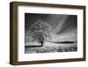 USA, Palouse Country, Washington State. Infrared Palouse fields and lone tree-Terry Eggers-Framed Photographic Print