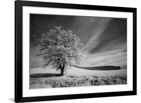 USA, Palouse Country, Washington State. Infrared Palouse fields and lone tree-Terry Eggers-Framed Photographic Print