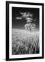 USA, Palouse Country, Washington State, Infrared Palouse fields and lone tree-Terry Eggers-Framed Photographic Print