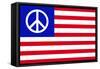 USA Peace Flag-null-Framed Stretched Canvas