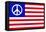 USA Peace Flag-null-Framed Stretched Canvas