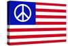 USA Peace Flag-null-Stretched Canvas