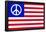 USA Peace Flag-null-Framed Poster